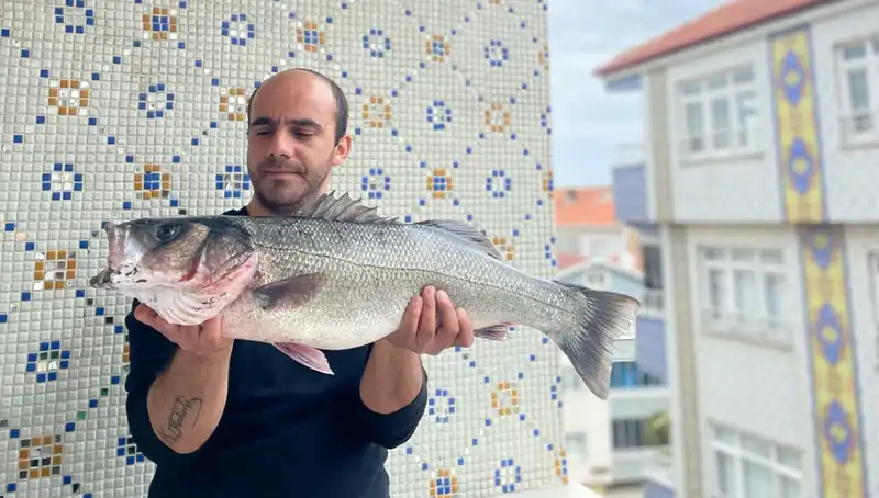 7,5 Kiloluk Dev Levrek, Tutku Dolu Balıkçı Anılarına Neden Oldu!