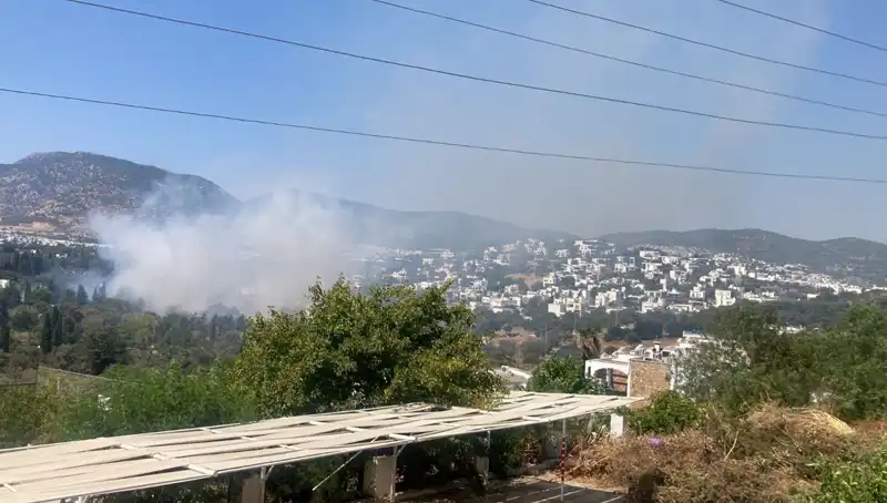 Muğla'daki Orman Yangınları Kontrol Altına Alındı: Son Gelişmeler