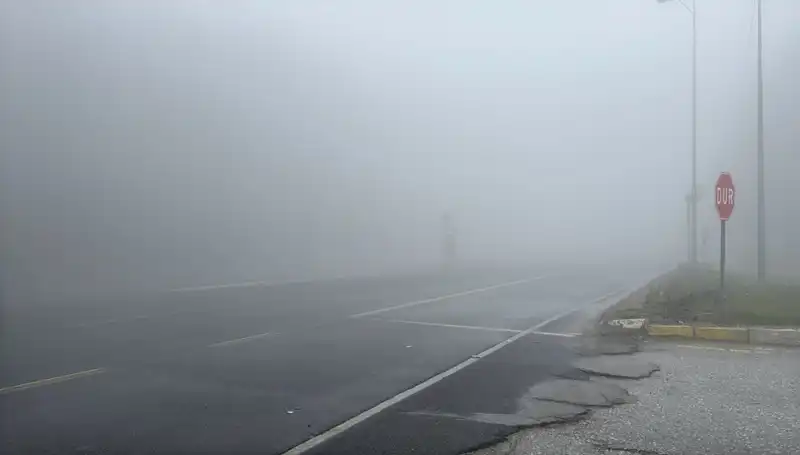 Bolu Dağı’nda Görüş Mesafesi Düşüyor: Sisin Gizemi