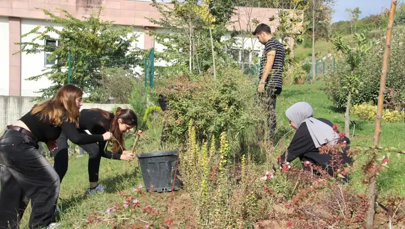 Düzce'nin Yıldızı: Hayal ile Gerçek Arasındaki Bağlantı