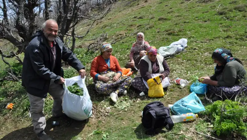 Yüzlerce Ailenin Geçim Kaynağı: Kilogramı 250 Lira Olan Doğal Ürünler İçin 5 Saat Yol Yürüyorlar