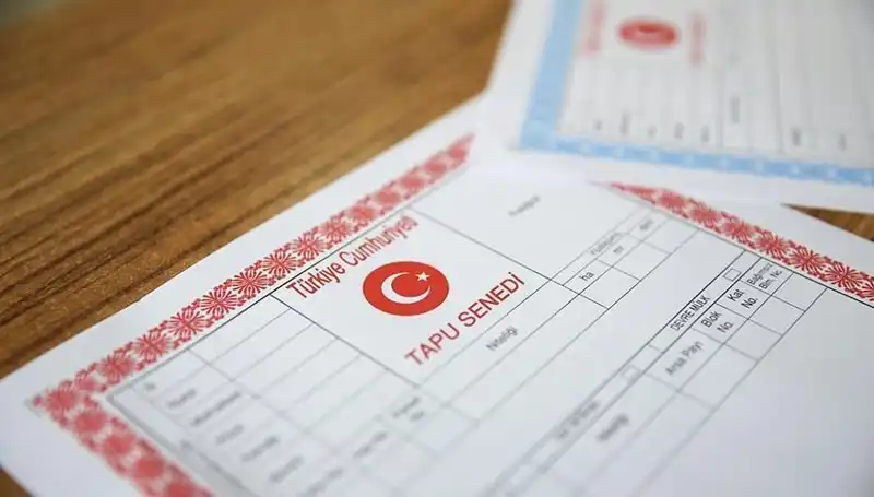 Türkiye'de 100 Milyonluk Hisseli Tapu Dolandırıcılığı Şoku!