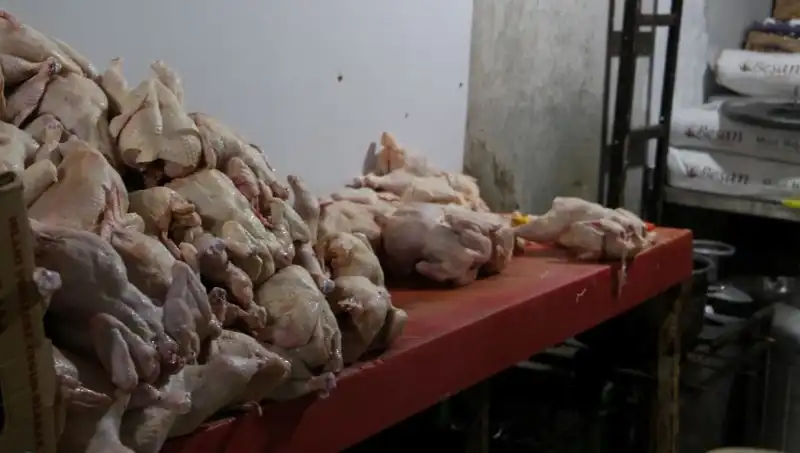 Mide Bulandıran Görüntüler: Döner İmalathanesinde Yaşananlar Şok Etti