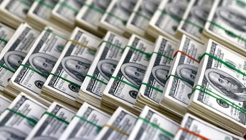 Doların Yükselişi Durum Değerlendirmesi: Ekonomistler Uyarıyor
