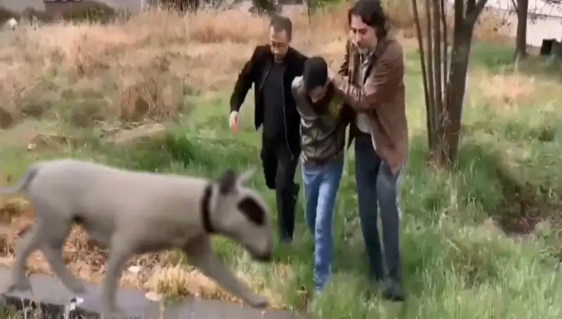 430 Bin Lira Değerindeki Şampiyon Köpeğin Hırsızı Yakalandı!