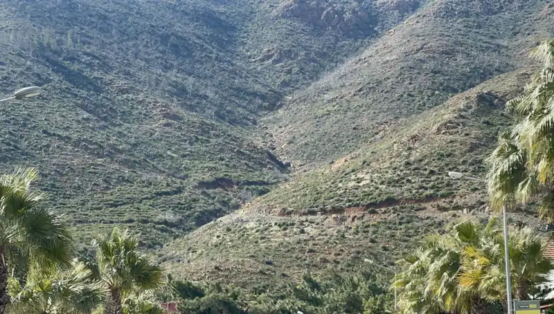 3 Yıl Sonra Marmaris Ormanları Yeniden Hayat Buldu: İlk Fideler Yükseliyor