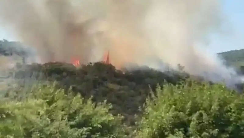 İstanbul’da Orman Yangını Geldi Çattı: Vatandaşlar Hızla Tahliye Ediliyor
