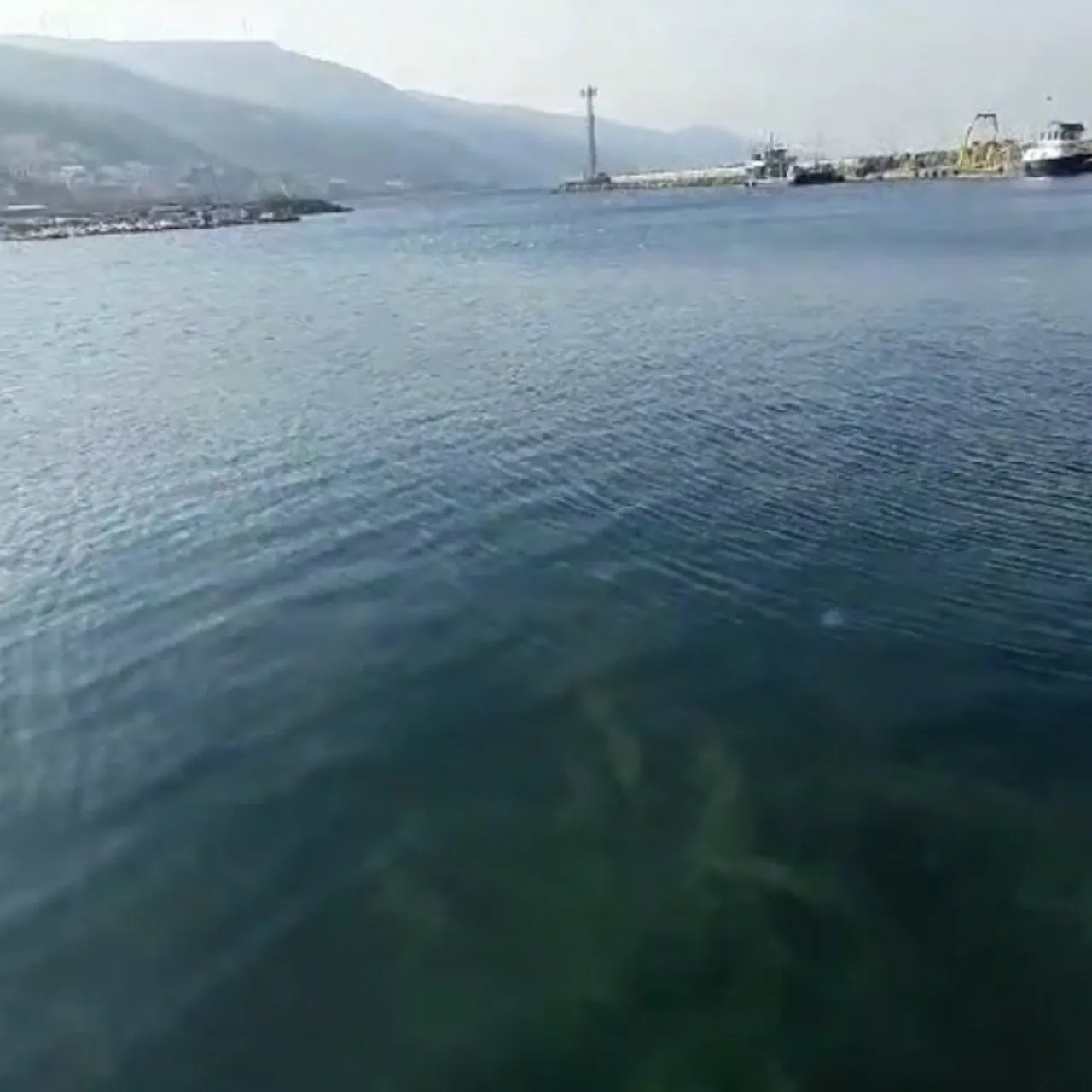Marmara Denizi’nde Müsilaj Kabusu Yeniden Başladı