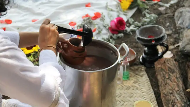 Ayahuasca: Şifalı İçecek Mi, Yoksa Yasaklı Bir Madde Mi?