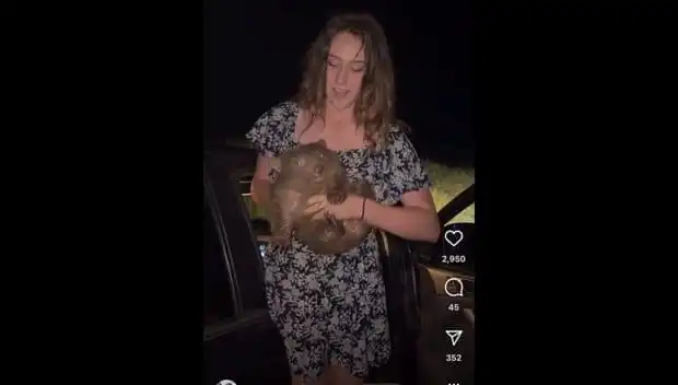 Yavru Hayvanı Annesinden Ayırdığı Anları Paylaştı, Ülkeyi Terk Etmek Zorunda Kaldı!