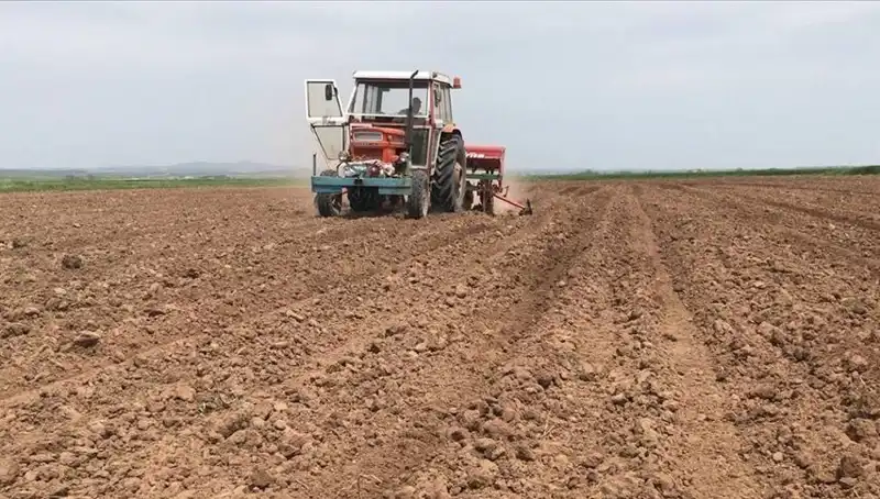 Son 35 Yılın En Kurak Mart Ayı: Yağışlar Yüzde 59 Düşerek Tarih Yazdı
