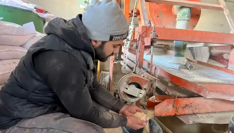 Baharın Gelişi İle Çalışanların Enerjisi Artıyor, Neler Oluyor?