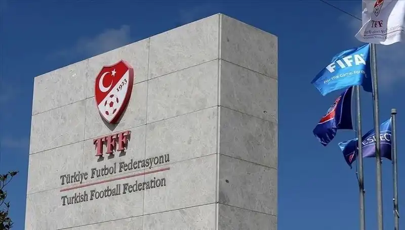Türkiye Profesyonel Liglerdeki Takım Sayısında Son Dönem Değişiklikleri
