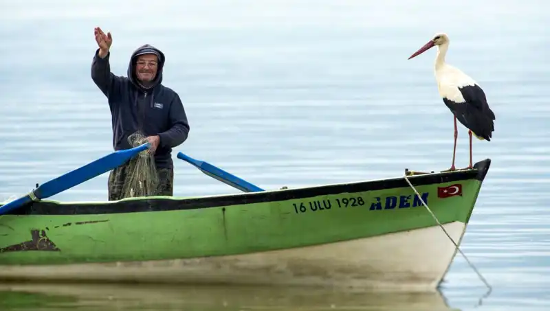 Yaren Leylek Geldi mi? Merakla Beklenen Tarihler ve Gelişmeler!