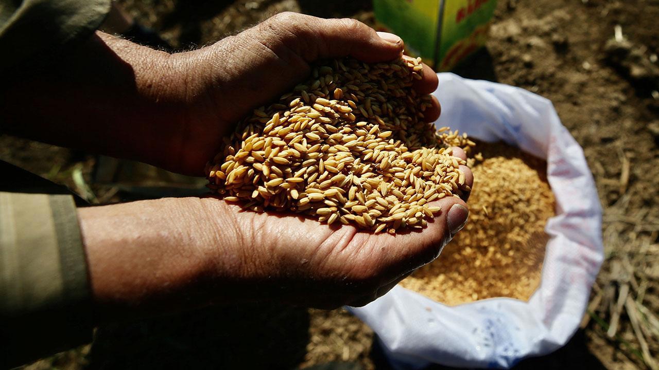 Tarım Kredi Marketlerinde Artık Ata Tohumları