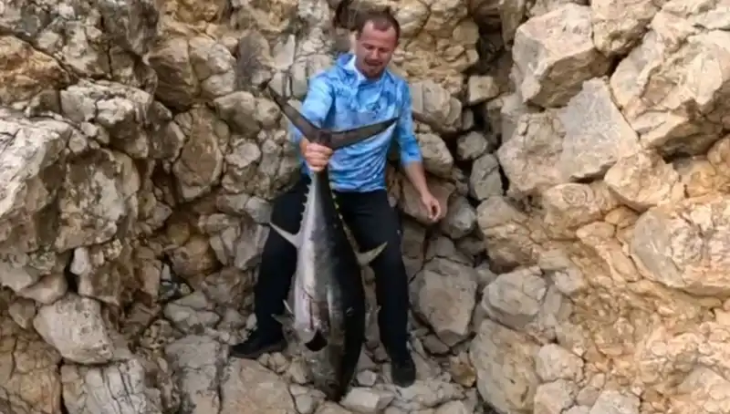 Saros Koyu’nda Oltaya Takılan 30 Kiloluk Dev Balık Herkesi Şaşırttı!