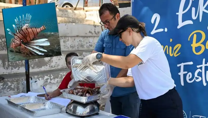 Antalya'da İstilacı Aslan Balığı Avlama Yarışması: Doğa Koruma İçin Mücadele