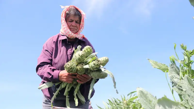 Tarladan Sofralara: Taze Ürünlerin Fiyatı Nasıl Yükseliyor?