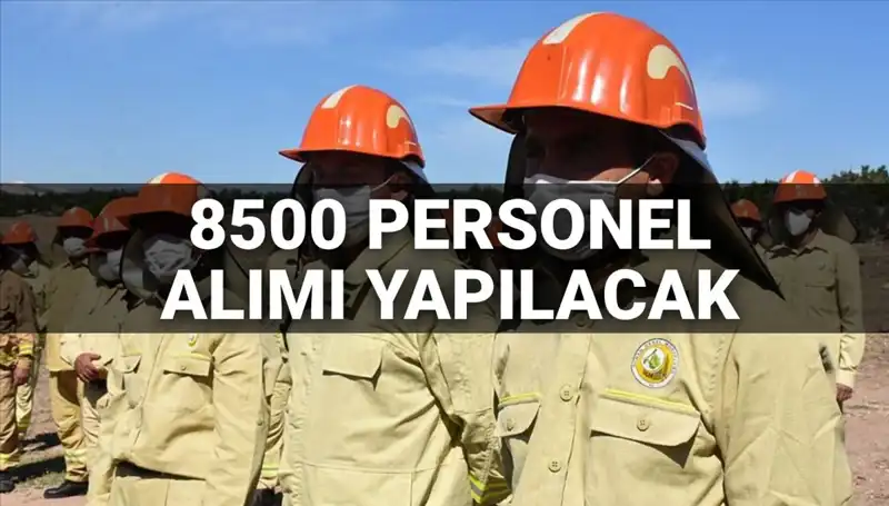 Tarım ve Orman Bakanlığı 2025: 8500 Personel Alımı Hakkında Bilmeniz Gerekenler