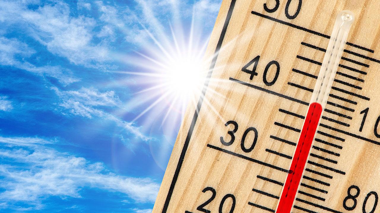 Dünya 2024'te bir önceki yıldan daha sıcak geçti