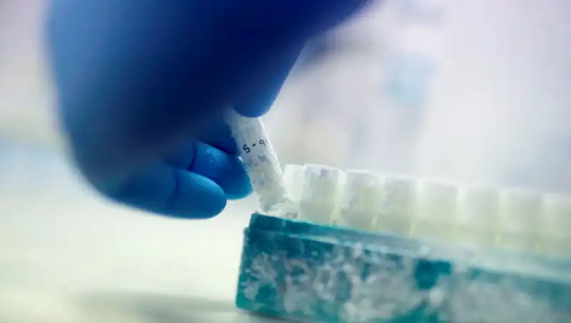 Tıbbi Felaket: 85 Sperm Donörü ile Binlerce Çocuğun Baba Olma Hikayesi