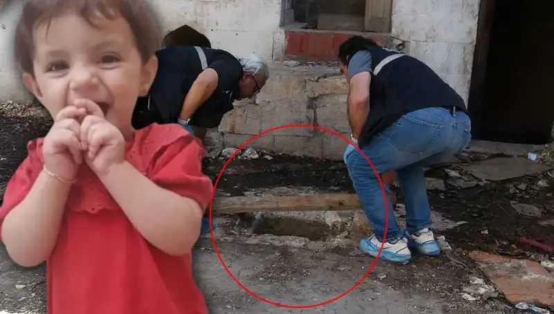 Cesedi Kuyuda Bulunan Aric'in Ardındaki Gizemli Cinayet Sırları
