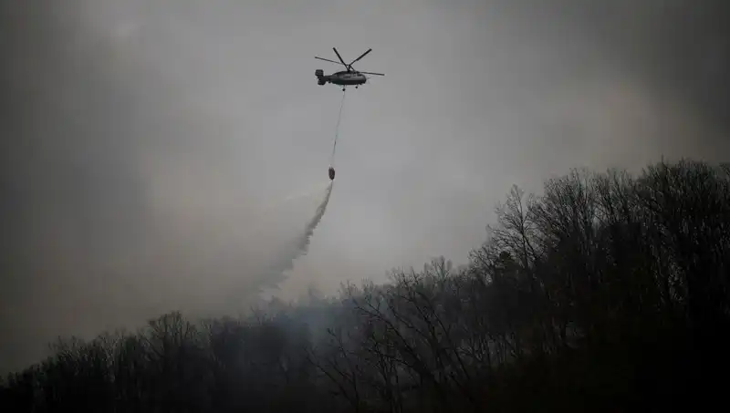 Güney Kore'de Yangın Söndürme Helikopteri Düşü: Bir Hayat Kaybı ve Trajik Olayın Detayları
