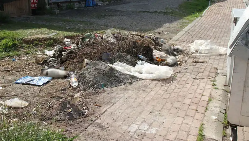 Antalya'da Vahşet! 10 Kedi Ölü Bulundu, İnceleme Başlatıldı