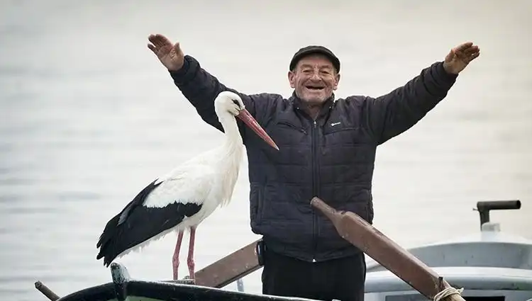 Yaren Leylek'in Yuvası Canlı Yayında! Doğa Fotoğrafçısı Alper Tüydeş'den Beklentiler