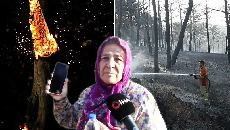 Çanakkale Orman Yangınları Kontrol Altına Alındı, Kayıplar Sürüyor