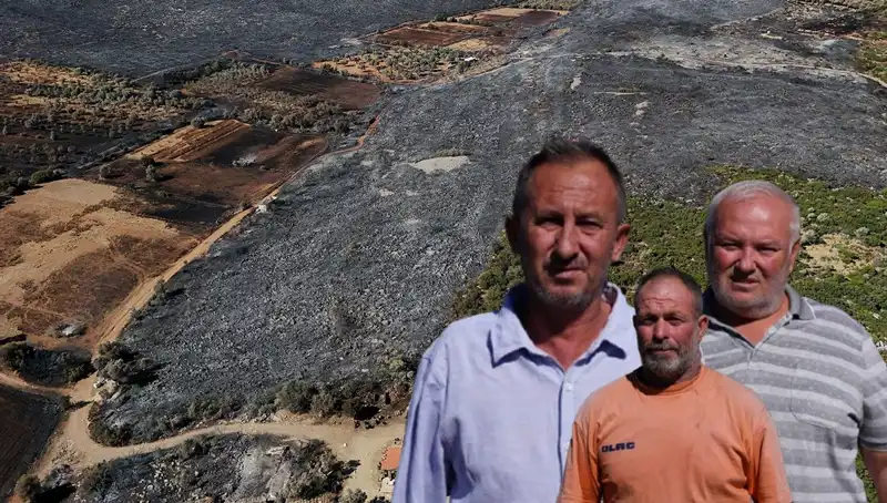Çeşme Yangınının Ardında Kalan Acı Bilanço: Kaybettiklerimiz ve İyileşme Süreci
