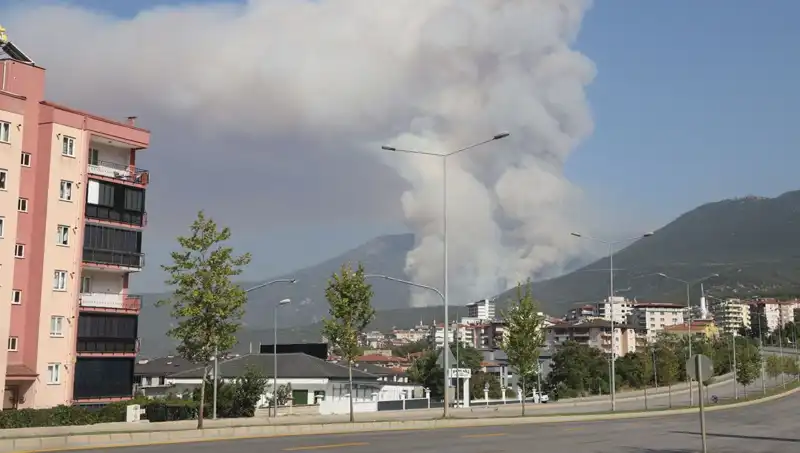 Denizli Orman Yangınıyla İlgili Şok Gelişme: Bir Kişi Gözaltında!
