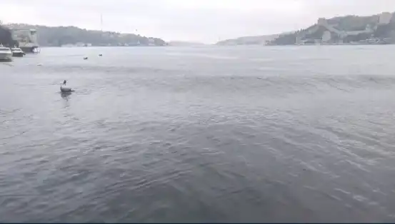 İstanbul'u Sarsan 6.2 Büyüklüğündeki Deprem: Dalgalar Yükseldi!