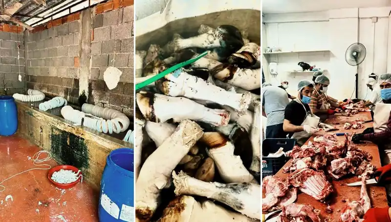 Adana'da Şok Eden Paça Operasyonu: Yüzlerce Kilo Ele Geçirildi