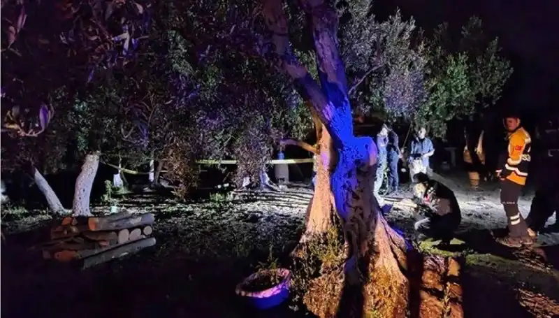 Çiftlikteki Baltalı Vahşete Şok Tutuklama: Olayın Ardındaki Gerçekler