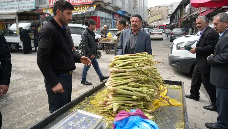 Doğanın Şifalı İkramı: Dağlardan Toplanan Şekerin Sağlığa Faydaları