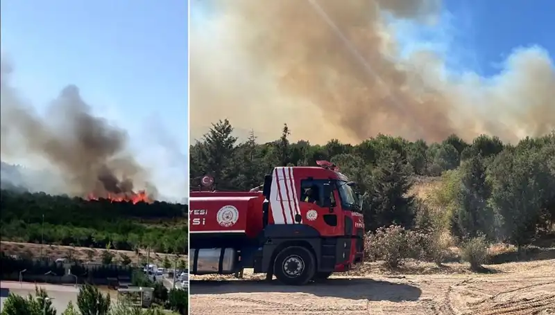 Gebze'de Orman Yangını: Korkutan Alevler ve Müdahale Süreci